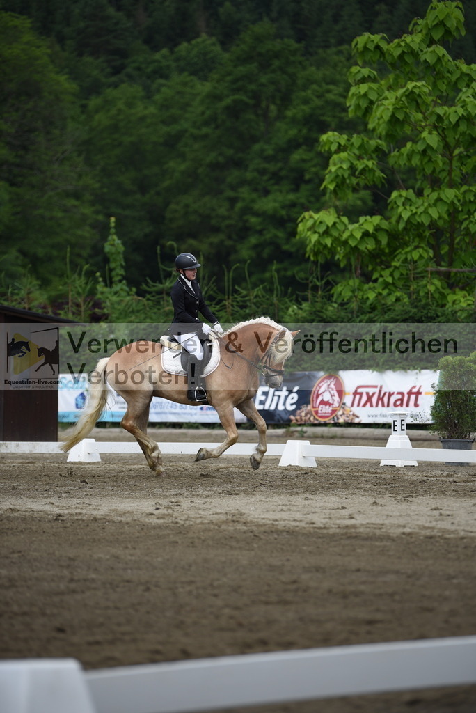 DSC_7795 | equestrian-live-com