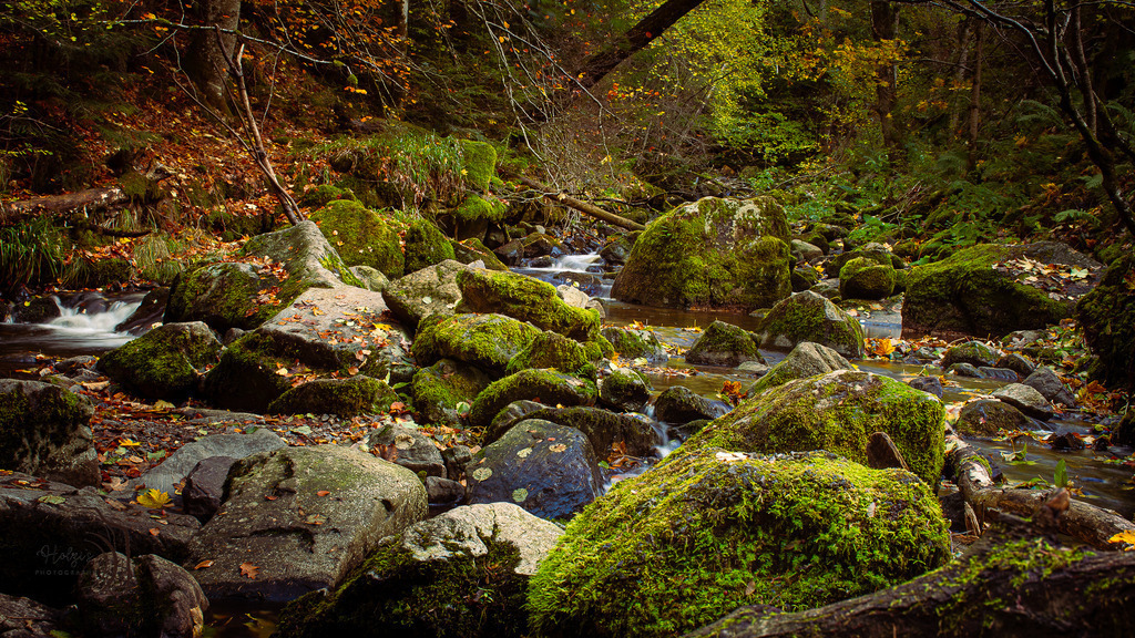 _HFG9700-HDR | Holzisphotography, Landschaftsfotografie, Wildlifefotogorafie - Realisiert mit Pictrs.com