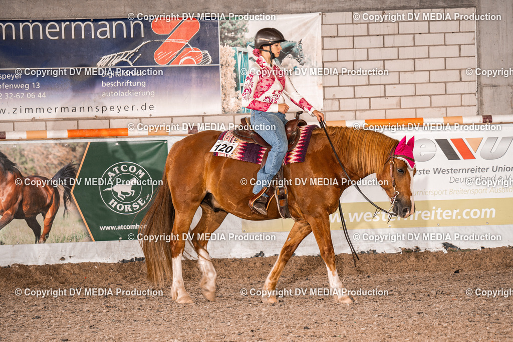 ZH200419 | dv-media-shop - Realisiert mit Pictrs.com