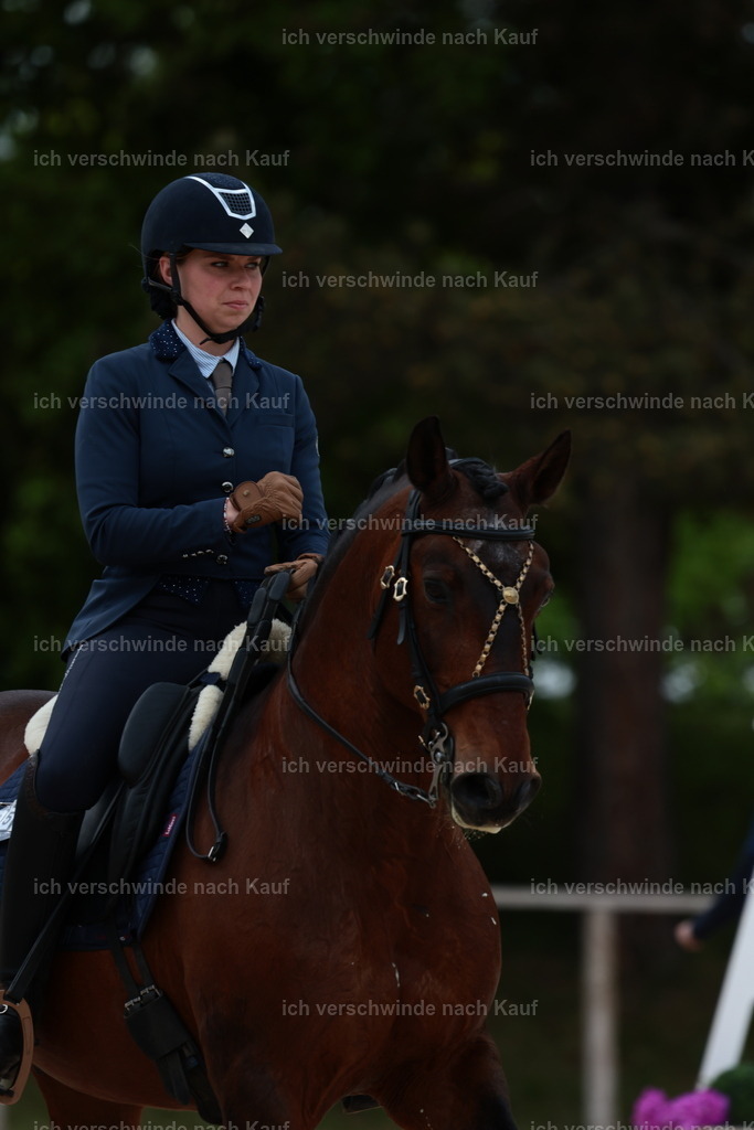 PI26_ST_StoibphotographyC2_L8795.JPG | working equitationturnier fotograf videograf stoibphotography marixx film working equitation deutschland reitsport turnierfotografie eventfotografie equestrian events