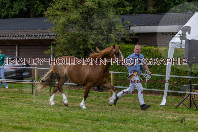 3_MG_3636 (3296) | mandyhollmannphotographie