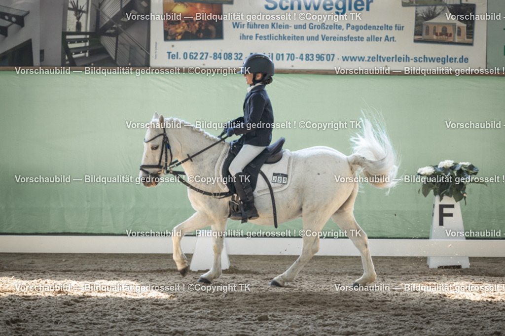 _D5A9076 | Emotionale Pferde- & People-Fotografie rund um Heidelberg, Leimen & Umgebung. Natürliche Fotos von Pferd, Mensch & Familie. Jetzt Termin sichern!