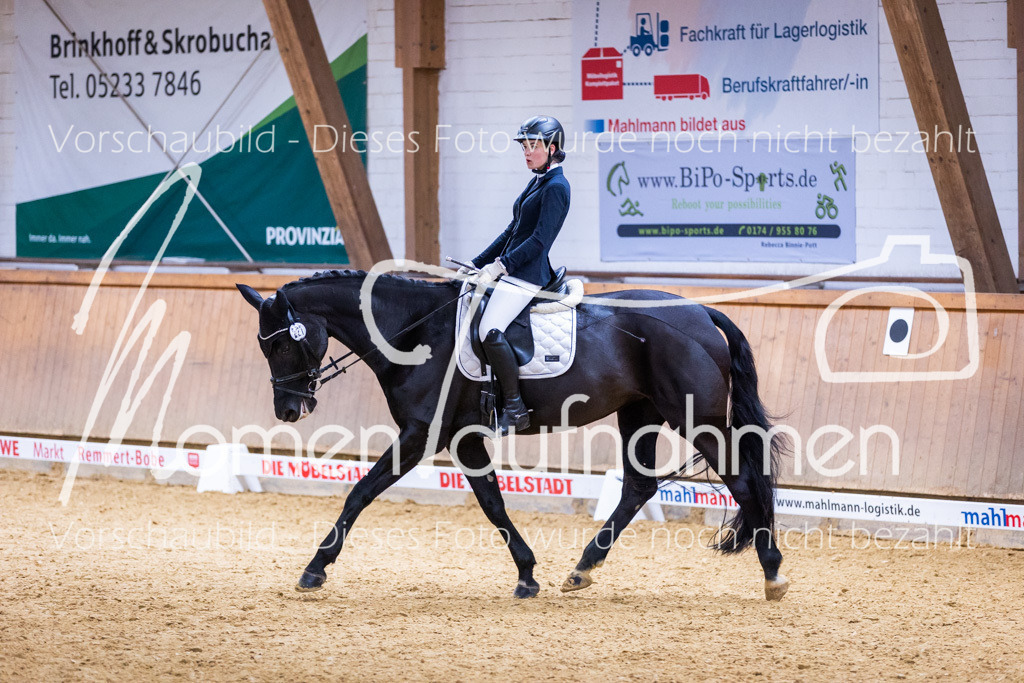 Sth-A-Dre-2St-127 | MomenTaufnahmen Pferdesportfotos