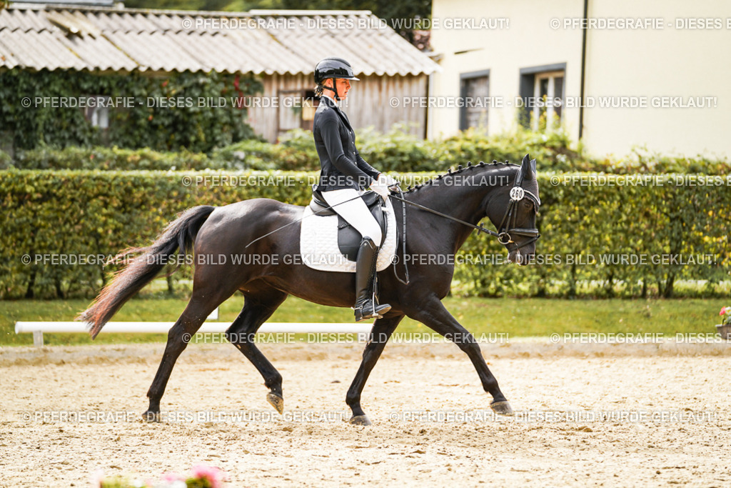 DSC02085 | Pferdegrafie