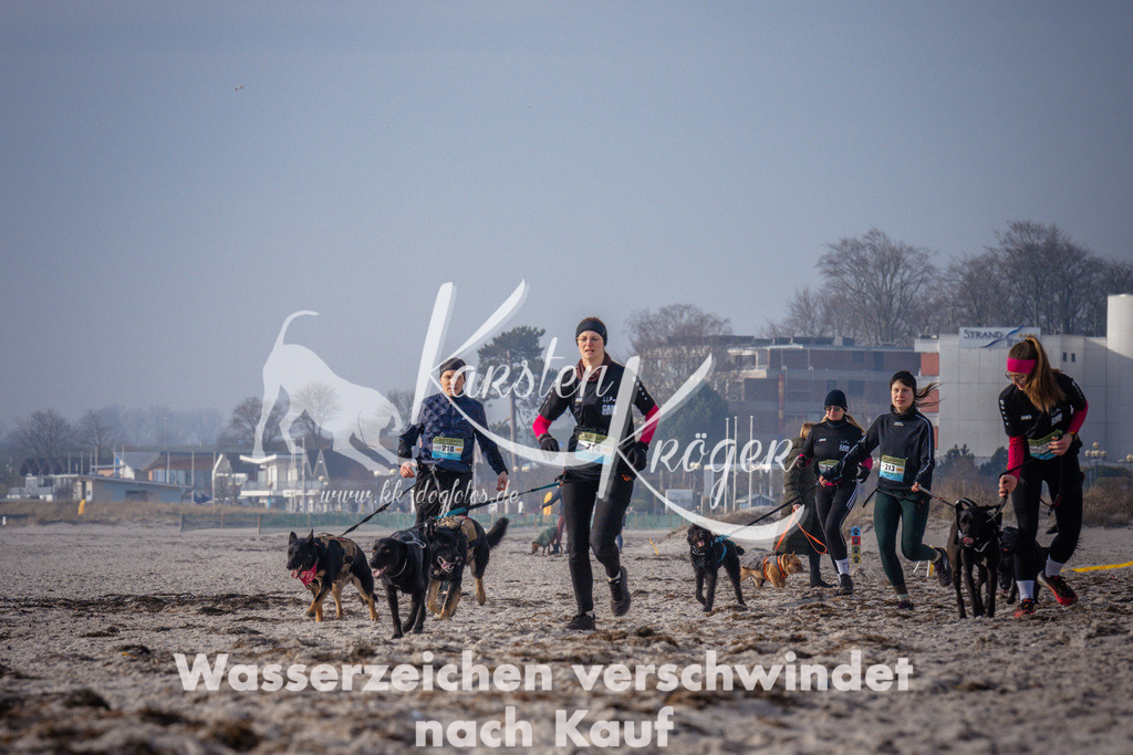 1012_ZZ94111 | kk-dogfotos