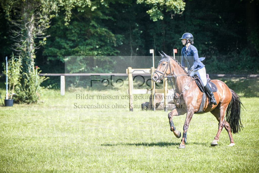 DOS_3419 | Entdecke hochwertige Reitturnierfotos von Foto Oger. Professionell, emotional und authentisch – jetzt Lieblingsmomente im Shop bestellen.Deutschlandweite Turnierfotografie. - Realisiert mit Pictrs.com