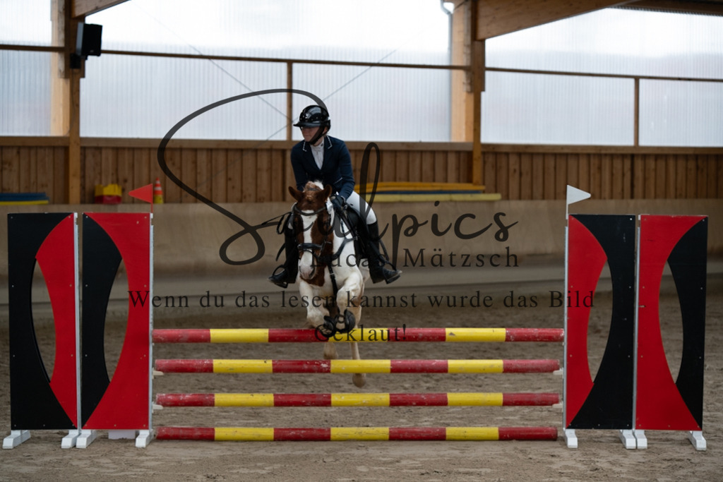 A7V00398 | Pferdefotograf