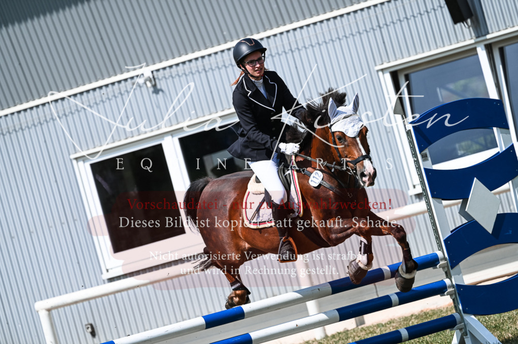DSC_8661 | Pferde- und Turnierfotografie in Westsachsen. Pferdeportraits, Auftragszeichnungen und intuitive Kunst.