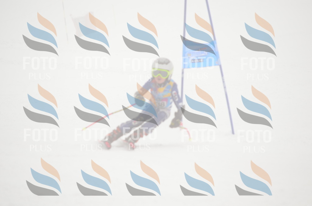 C1691 | holidayphoto