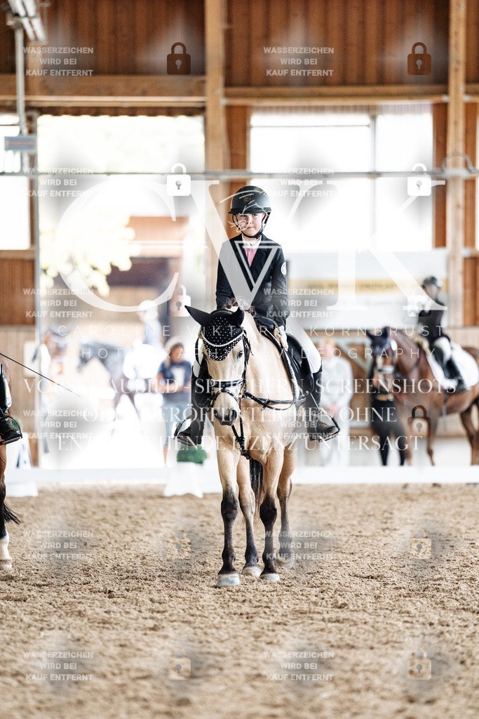 CK901594 | Turnierfotografie Pferdefotografie Trier Rheinland-Pfalz Pferdesport Reitsport Tierfotografie Sportfotografie Pferdevideo Pferdevideografie Equestrianvideography equestrianphotography  - Realisiert mit Pictrs.com