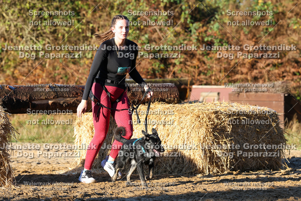 Dog Paparazzi - Strongdog 10-25-964 | Dog Paparazzi Jeanette Grottendiek Fotografie & Videografie - Realisiert mit Pictrs.com