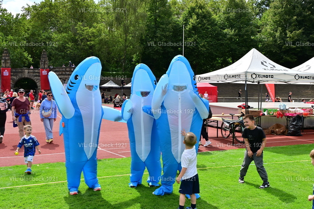 2026-08-23_Sparkassenlauf_Haie_00009 | Die Fotografen - Realisiert mit Pictrs.com