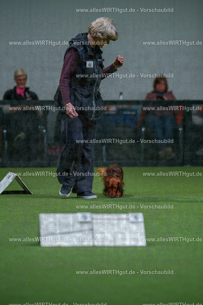 7R503651 | Professionelle Tierfotografie in Mönchengladbach von Daniel Wirth (allesWIRTHgut). Liebevolle & natürliche Bilder von Hunden & Katzen für unvergessliche Erinnerungen.