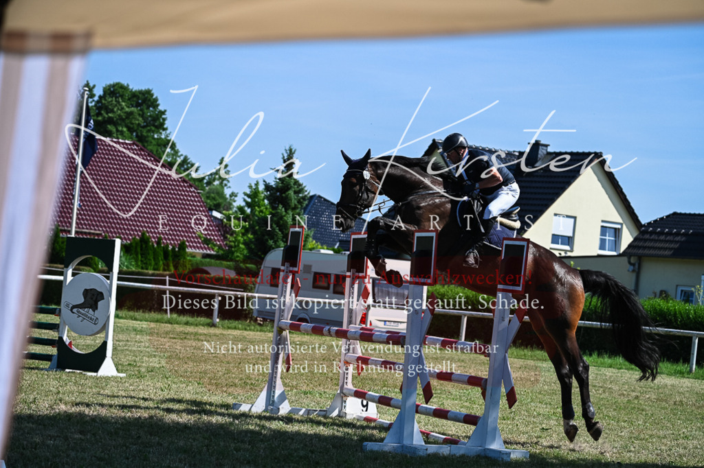 DSC_1720 | Pferde- und Turnierfotografie in Westsachsen. Pferdeportraits, Auftragszeichnungen und intuitive Kunst.