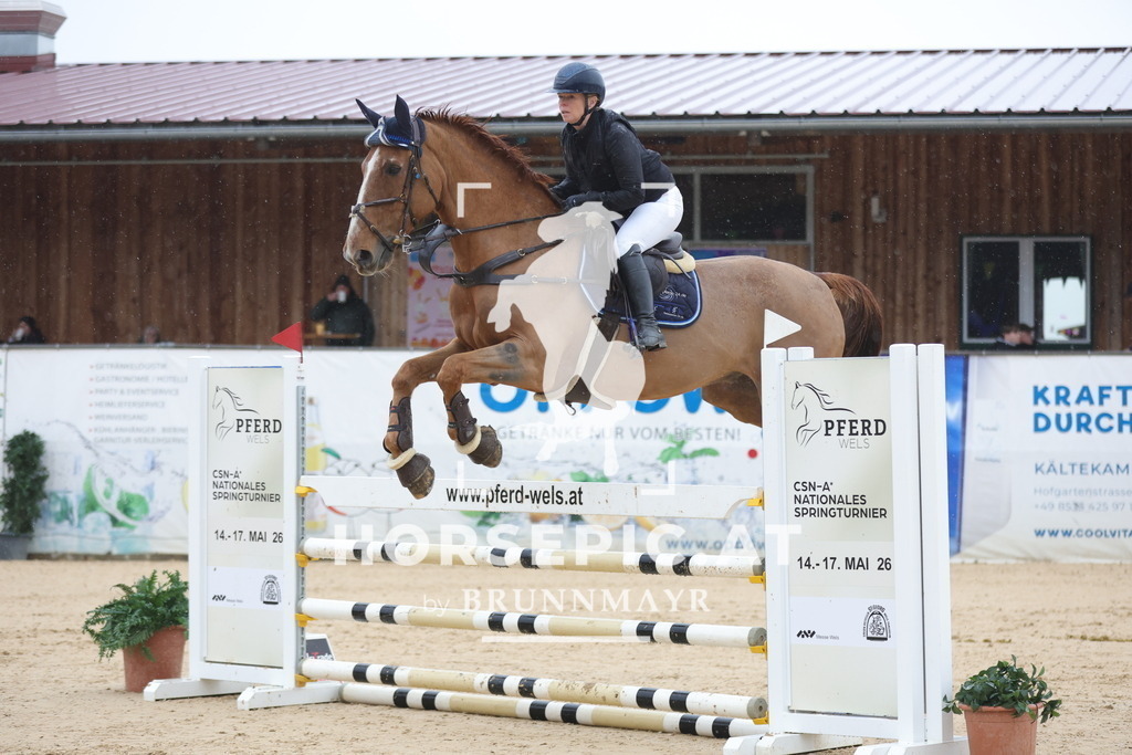 0P6A9831 | Willkommen bei Brunnmayr - Design & Fotografie – Ihrem Spezialisten für Reitturniere und Pferdeveranstaltungen in Oberösterreich, Salzburg und Bayern! Seit über 17 Jahren sind wir leidenschaftlich dabei.