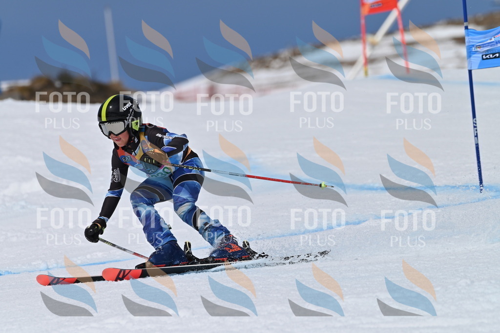 BGV_6550 | holidayphoto