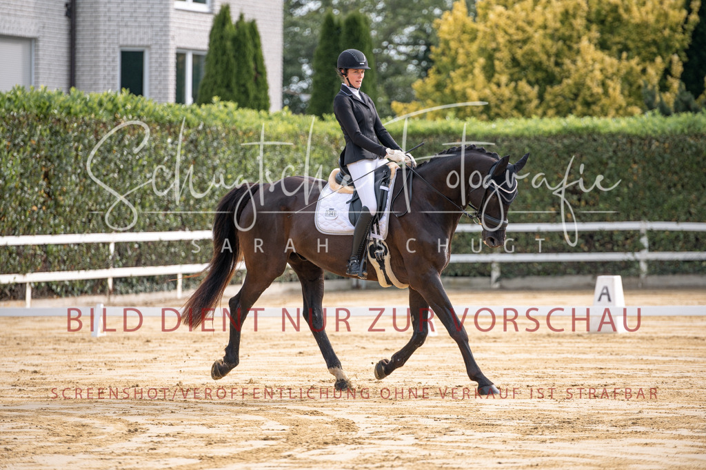 Schugtsche-Aluta25-40.DressurprfA_-49 | Schugtsche Fotografie - Realizzato con Pictrs.com