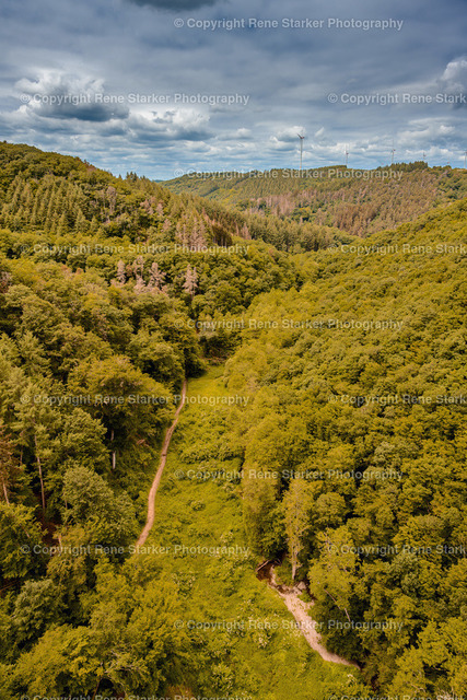 Blick von der Geierlay Brücke | Blick auf die Eifel von der Geierley Brücke - Realisiert mit Pictrs.com