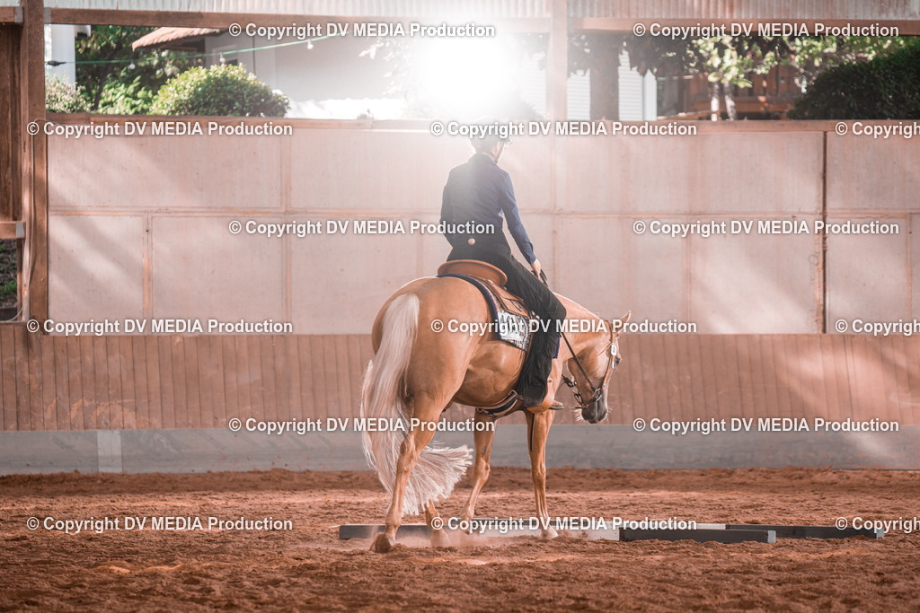 NE200217 | dv-media-shop - Realisiert mit Pictrs.com