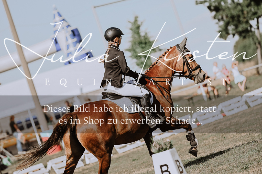 DSC_9361 | Pferde- und Turnierfotografie in Westsachsen. Pferdeportraits, Auftragszeichnungen und intuitive Kunst.