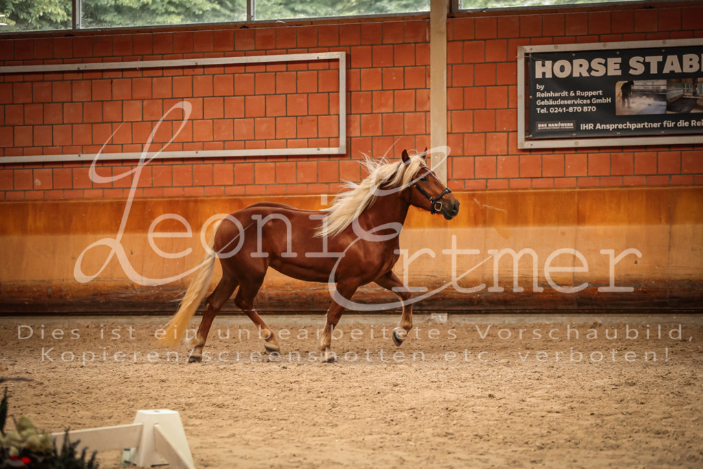 SaFL00500 | Leoni Ertmer Photography - Realisiert mit Pictrs.com