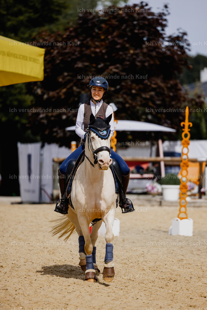 Nici11_FHC2025-29974 | working equitationturnier fotograf videograf stoibphotography marixx film working equitation deutschland reitsport turnierfotografie eventfotografie equestrian events