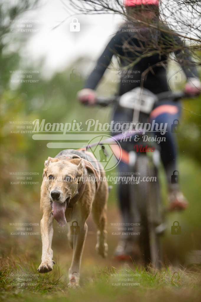 TSB_2023_E5_Bike-50 | PayLife