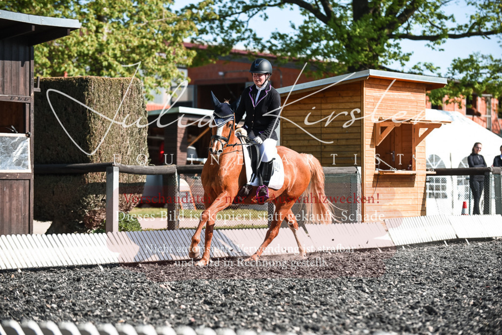 DSC_8428 | Pferde- und Turnierfotografie in Westsachsen. Pferdeportraits, Auftragszeichnungen und intuitive Kunst.