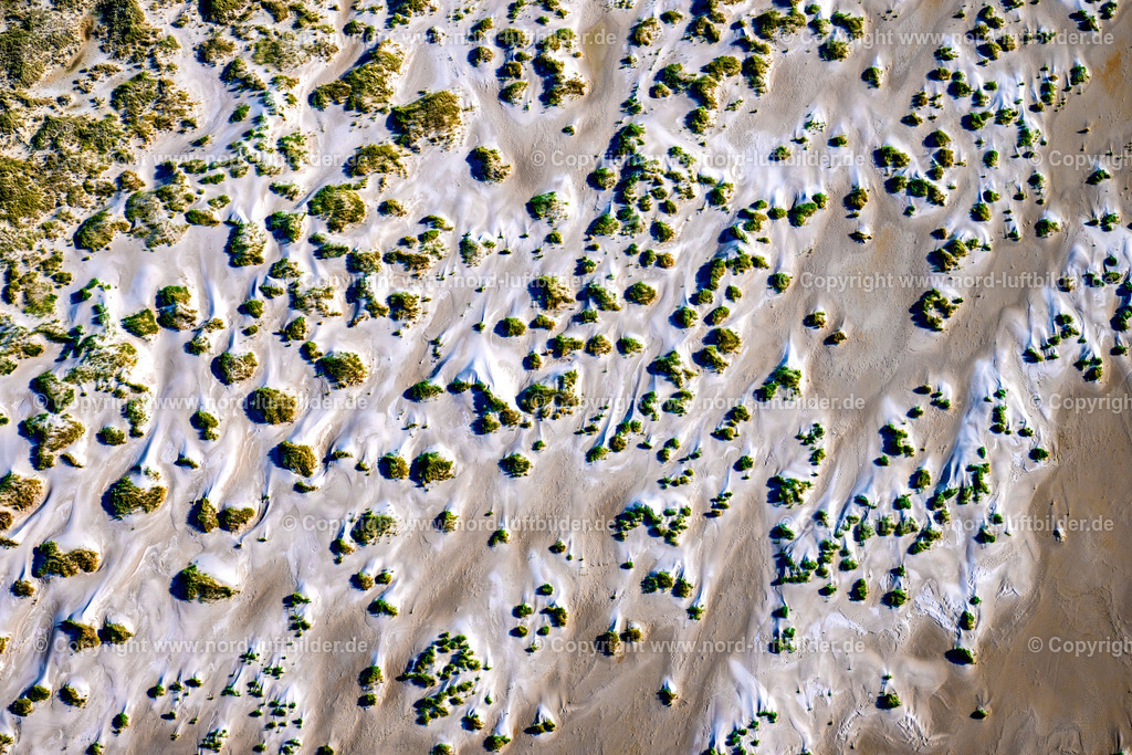 Amrum_Dünen_ELS_7593280824 | WITTDüN AUF AMRUM 28.08.2024 Sandstrand- Landschaft und Dünen- Schutzwall entlang des Küsten- Verlaufes in Wittdün auf Amrum im Bundesland Schleswig-Holstein, Deutschland. Weiterführende Informationen bei: Dünencamping Amrum GmbH. // Sandy beach and dune landscape " with dem Nehrungssee " in Wittduen auf Amrum in the state Schleswig-Holstein, Germany. Further information at: Duenencamping Amrum GmbH. Foto: Martin Elsen