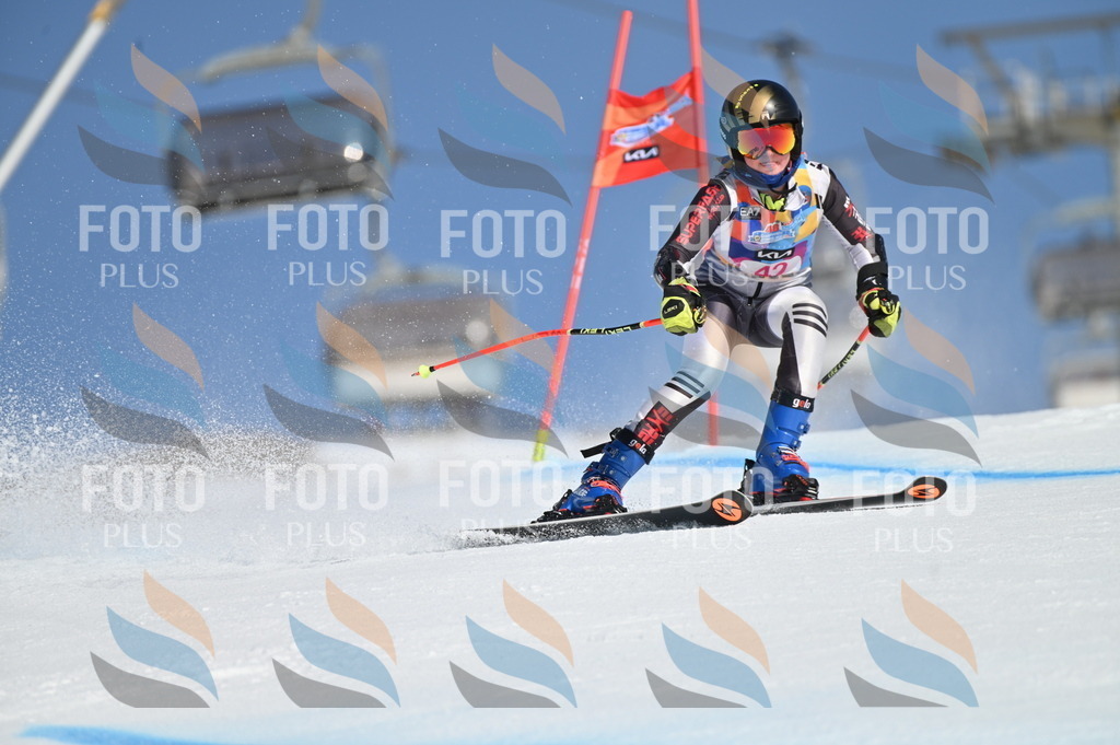 BGV_8388 | holidayphoto