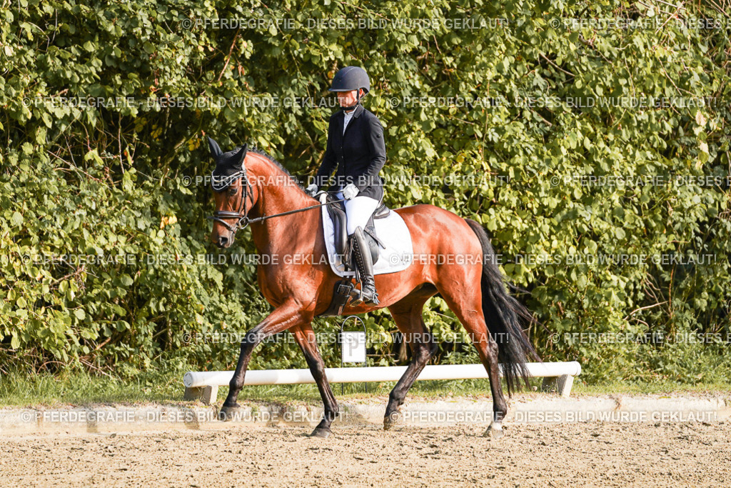 DSC04730 | Pferdegrafie