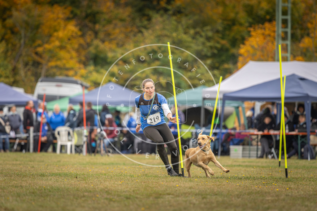 Pfotenfotografie_DV3A3651 | Hundefotografie, Tierfotograf, Pfotenfotografie, Fotoshooting Hund, Hunde Portrait, Hundesport, Hundeportraits, Heideshooting, Hunde, Sportfotograf, Hundefotograf, Turnierhundsport, THS,  - Realisiert mit Pictrs.com