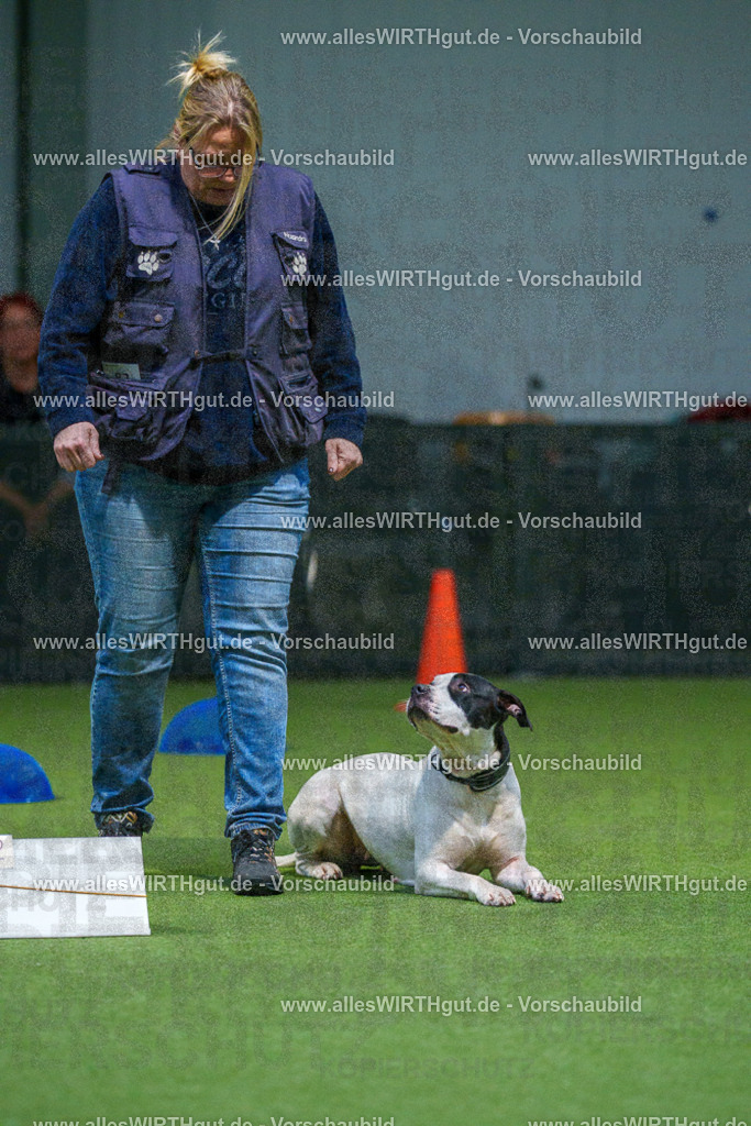 7R507768 | Professionelle Tierfotografie in Mönchengladbach von Daniel Wirth (allesWIRTHgut). Liebevolle & natürliche Bilder von Hunden & Katzen für unvergessliche Erinnerungen.