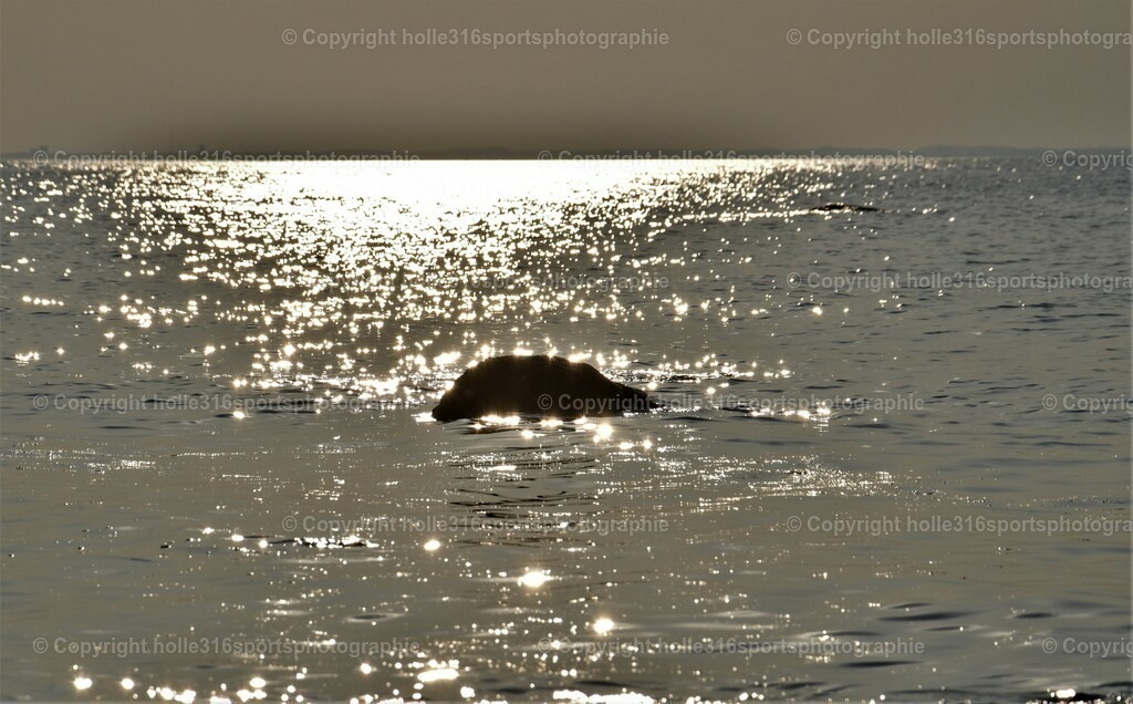 DSC_0014 (2) | Sportfotografie , Motorsport, Motoross, Reitsport, Mointainbike, Enduro,
Landschaft , Outdoor, Eventfotografie, Landschaft, Bilder online bestellen - Realisiert mit Pictrs.com