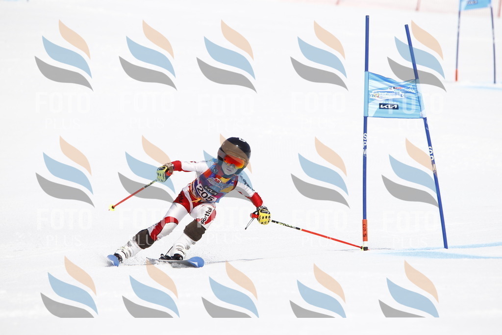 _U3G5316 | holidayphoto