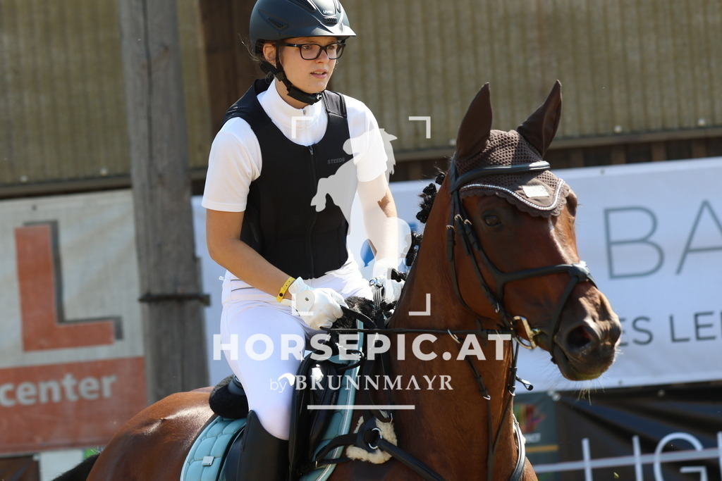 7V2A2852 | Willkommen bei Brunnmayr - Design & Fotografie – Ihrem Spezialisten für Reitturniere und Pferdeveranstaltungen in Oberösterreich, Salzburg und Bayern! Seit über 17 Jahren sind wir leidenschaftlich dabei.