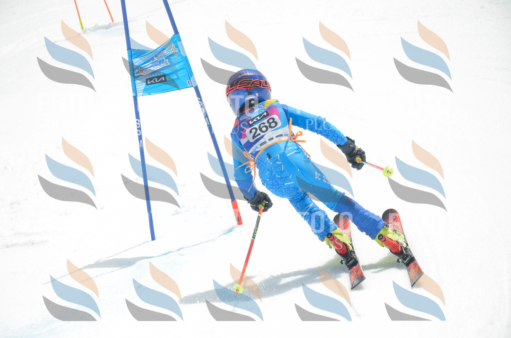 _ELE7783 | holidayphoto