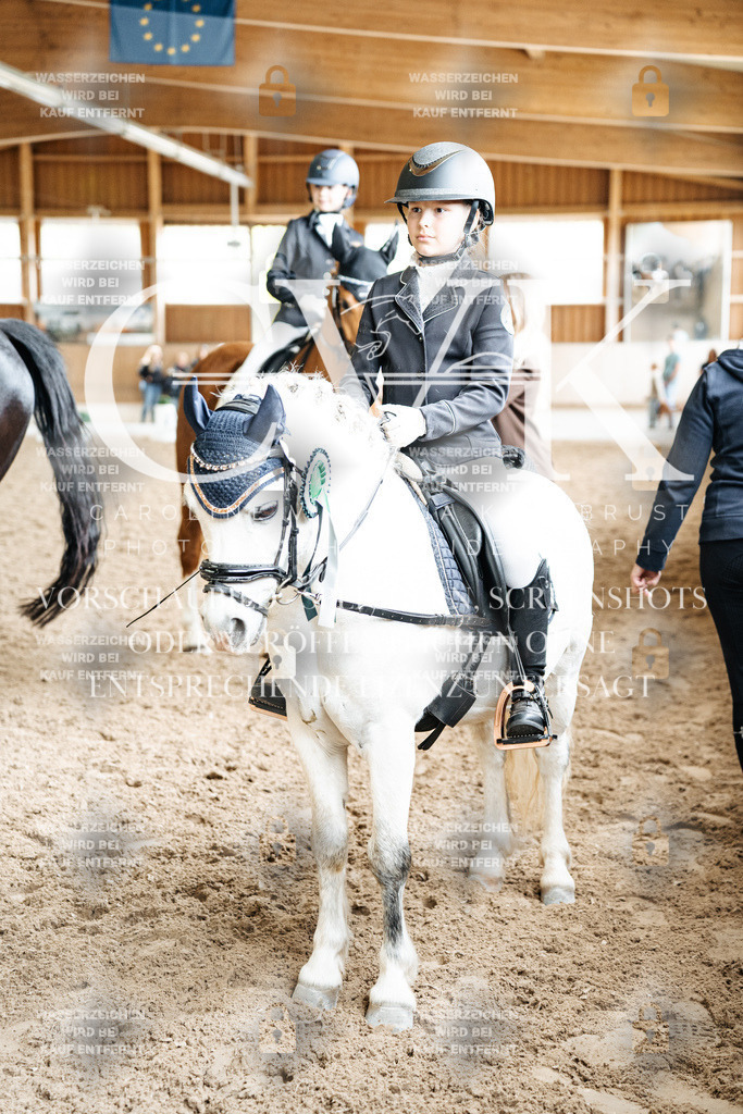 CK703384 | Turnierfotografie Pferdefotografie Trier Rheinland-Pfalz Pferdesport Reitsport Tierfotografie Sportfotografie Pferdevideo Pferdevideografie Equestrianvideography equestrianphotography  - Realisiert mit Pictrs.com