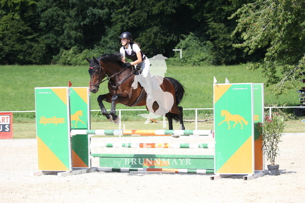 DL2Q1381 | Willkommen bei Brunnmayr - Design & Fotografie – Ihrem Spezialisten für Reitturniere und Pferdeveranstaltungen in Oberösterreich, Salzburg und Bayern! Seit über 17 Jahren sind wir leidenschaftlich dabei.