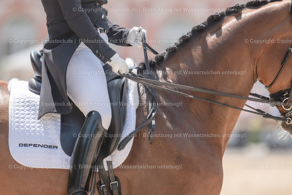 20230527_01_GP-Kür-Tour_0202 | equistock