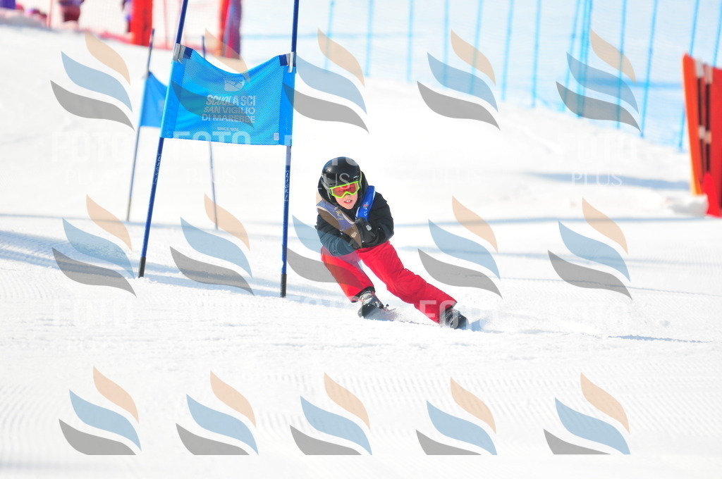 B8809 | holidayphoto