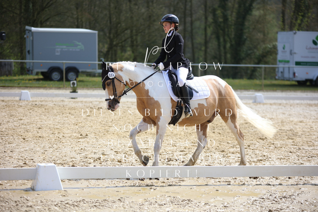 IMGT4231 | pl-fotografie