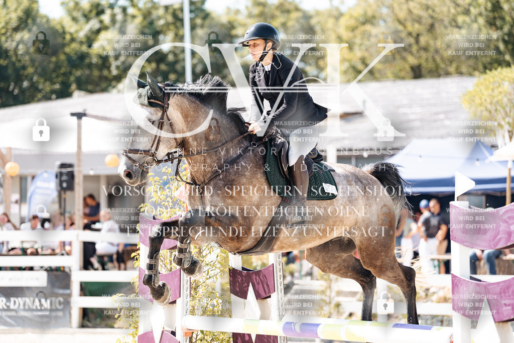 CK908981 | Turnierfotografie Pferdefotografie Trier Rheinland-Pfalz Pferdesport Reitsport Tierfotografie Sportfotografie Pferdevideo Pferdevideografie Equestrianvideography equestrianphotography  - Realisiert mit Pictrs.com