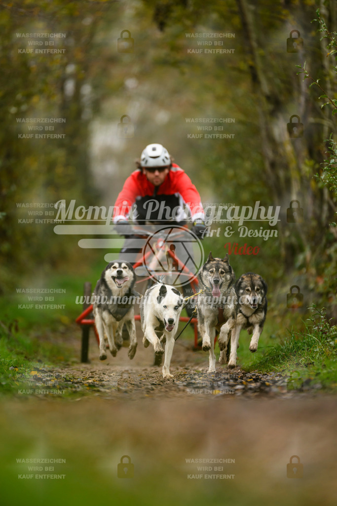 MompixPhotography_20TSB_E6_Kart-11 | PayLife