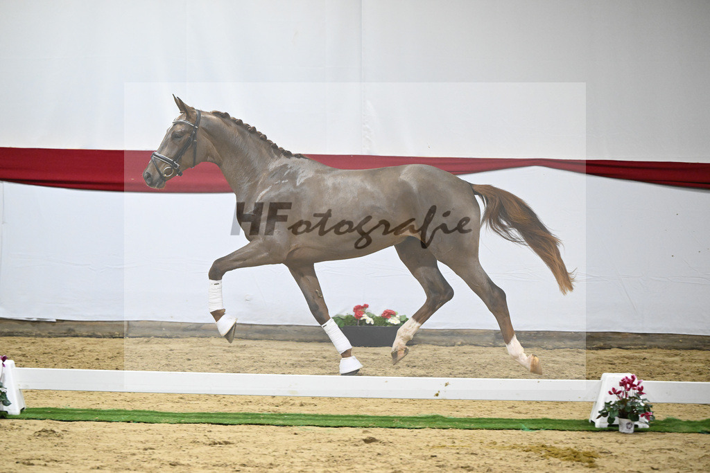 Kat-Nr. 56 v. Feinrich_Fink_63221694 | hf-fotografie - Realizzato con Pictrs.com