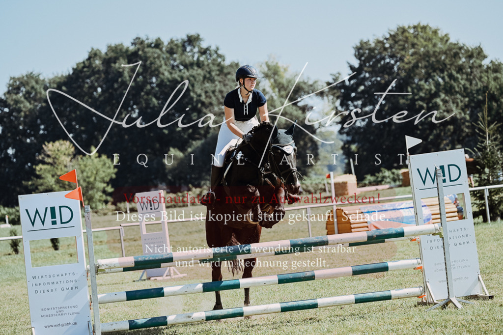 DSC_5978 | Pferde- und Turnierfotografie in Westsachsen. Pferdeportraits, Auftragszeichnungen und intuitive Kunst.