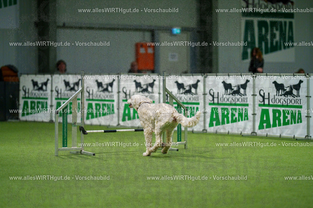 7R504268 | Professionelle Tierfotografie in Mönchengladbach von Daniel Wirth (allesWIRTHgut). Liebevolle & natürliche Bilder von Hunden & Katzen für unvergessliche Erinnerungen.