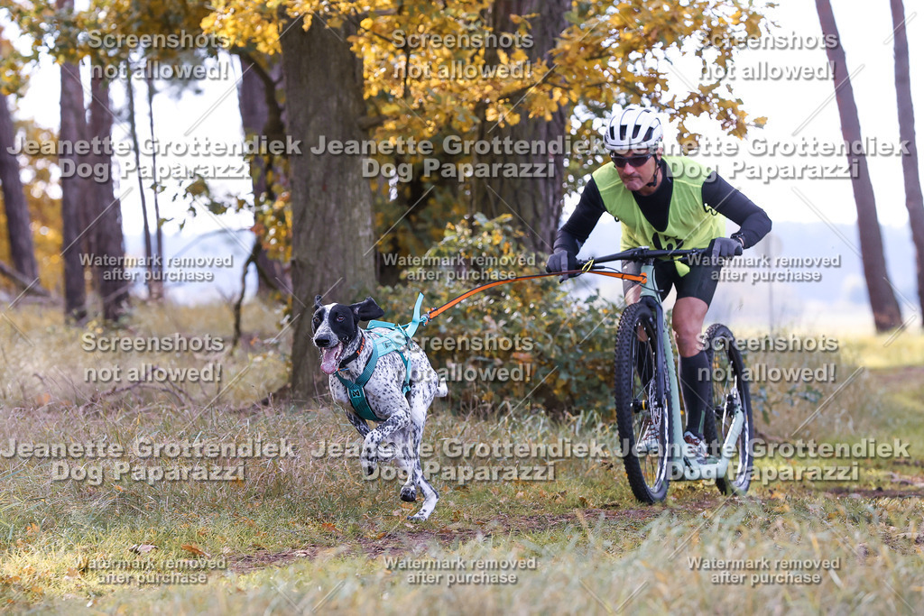 Dog Paparazzi - Elsholz 25 -174 | Dog Paparazzi Jeanette Grottendiek Fotografie & Videografie - Realisiert mit Pictrs.com