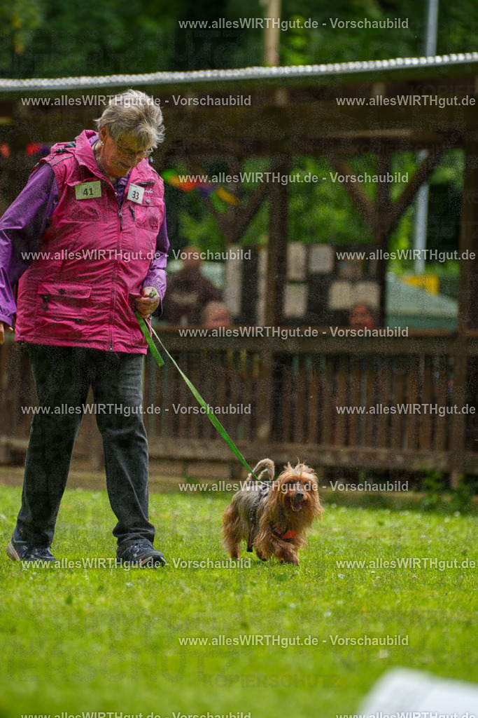 @allesWIRTHgut_Tierfotografie - www.allesWIRTHgut.de - 122324-7R508933 | Professionelle Tierfotografie in Mönchengladbach von Daniel Wirth (allesWIRTHgut). Liebevolle & natürliche Bilder von Hunden & Katzen für unvergessliche Erinnerungen.