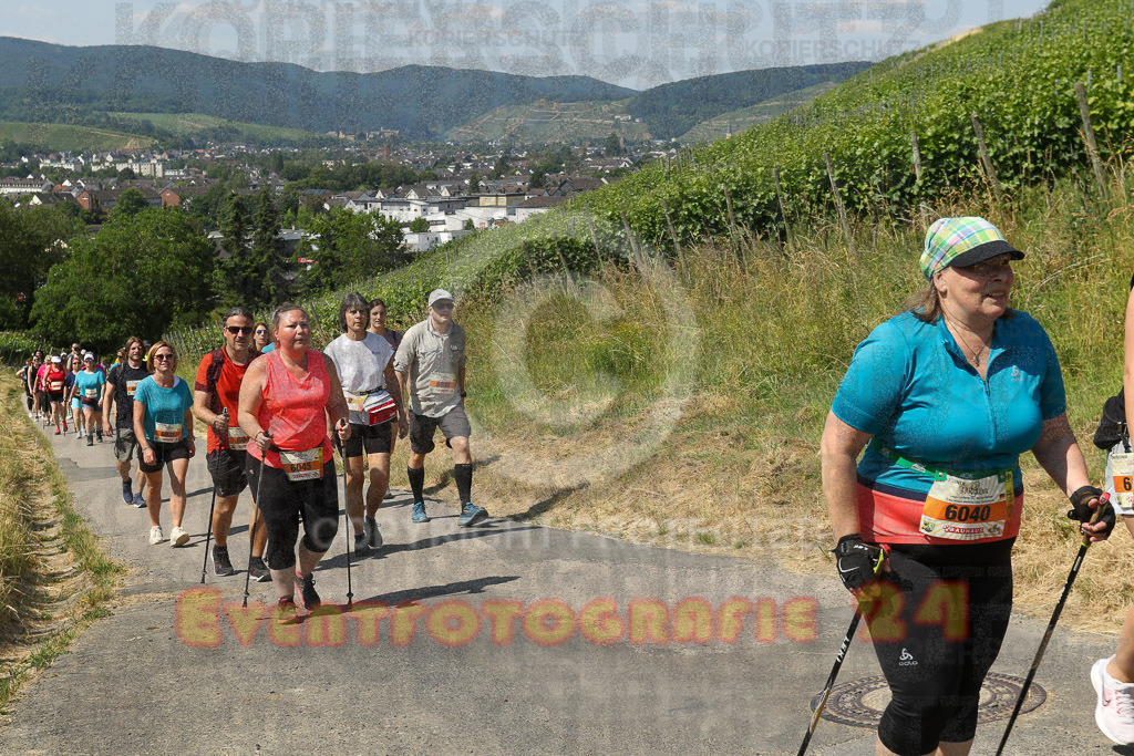 230617_1108_EV9_7681 | Sportfotografie im Rhein-Sieg Kreis, Köln, Bonn, NRW, Rheinland Pfalz, Hessen, etc. Unser Tätigkeitsfeld umfasst den Laufsport vom Volkslauf über den Marathon, Duathlon, Triathon bis zum Ultralauf wie Kölnpfad Ultra oder Schindertrail.